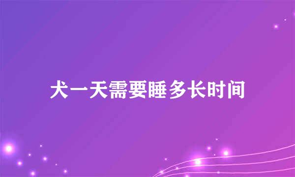 犬一天需要睡多长时间