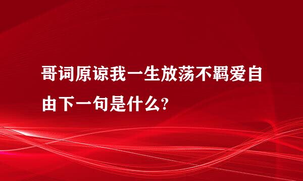 哥词原谅我一生放荡不羁爱自由下一句是什么?