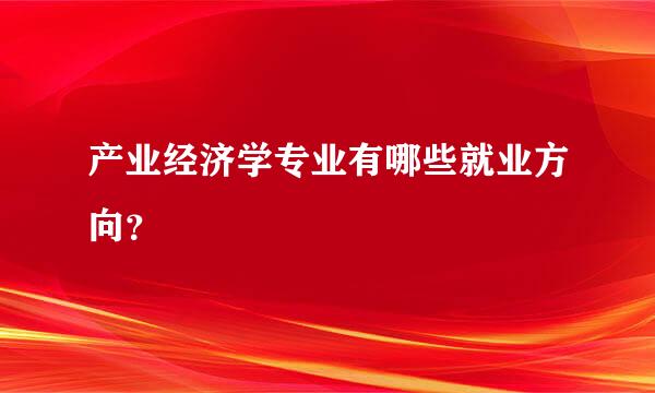 产业经济学专业有哪些就业方向？