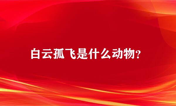 白云孤飞是什么动物？