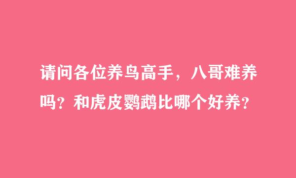 请问各位养鸟高手，八哥难养吗？和虎皮鹦鹉比哪个好养？