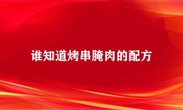 谁知道烤串腌肉的配方