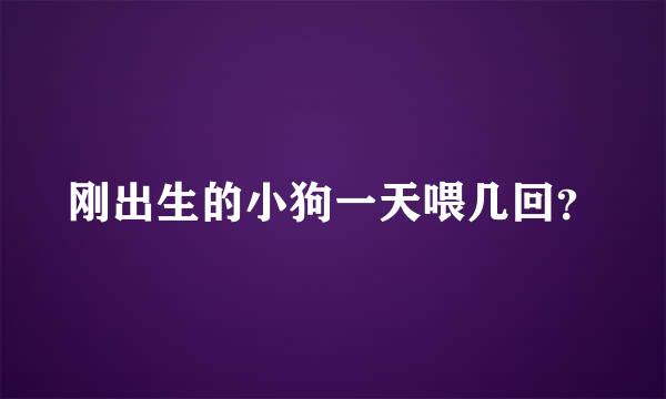 刚出生的小狗一天喂几回？