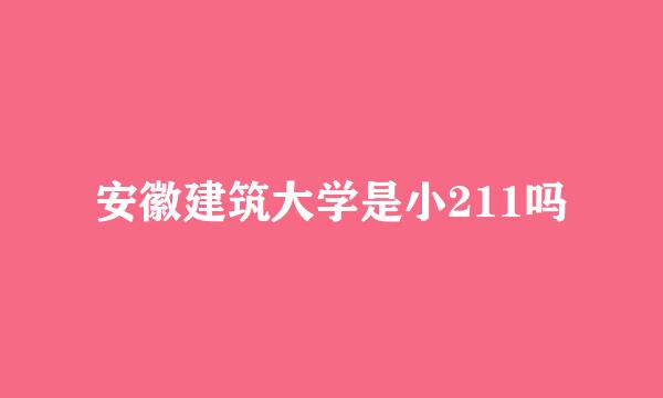 安徽建筑大学是小211吗