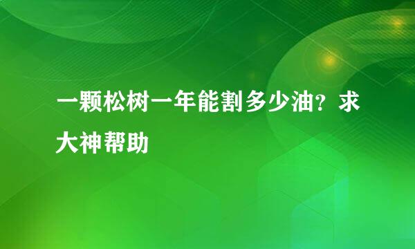 一颗松树一年能割多少油？求大神帮助