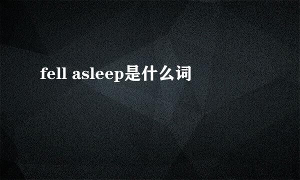 fell asleep是什么词