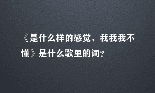 《是什么样的感觉，我我我不懂》是什么歌里的词？