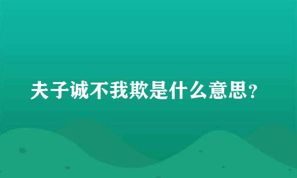 夫子诚不我欺是什么意思？