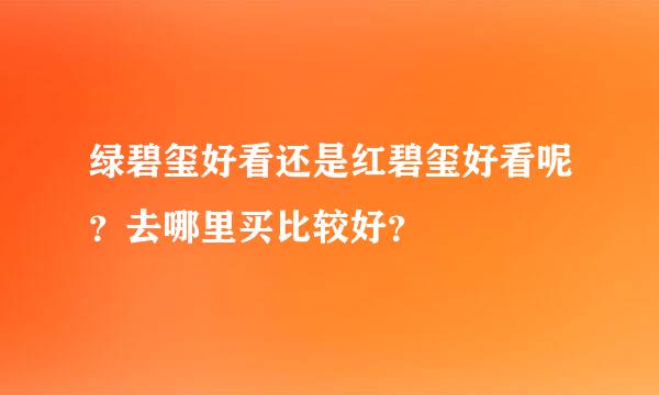 绿碧玺好看还是红碧玺好看呢？去哪里买比较好？