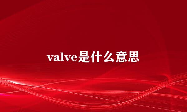 valve是什么意思