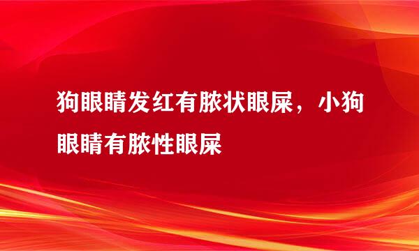 狗眼睛发红有脓状眼屎，小狗眼睛有脓性眼屎