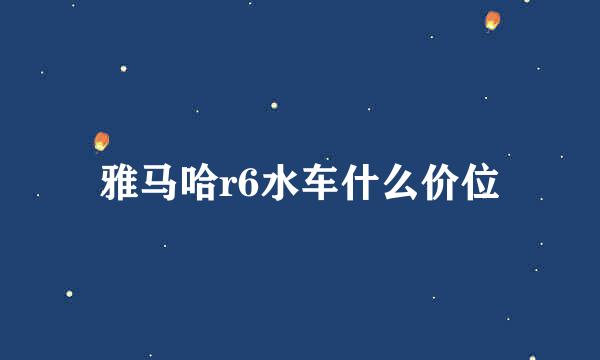 雅马哈r6水车什么价位