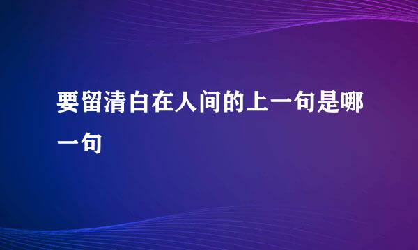 要留清白在人间的上一句是哪一句