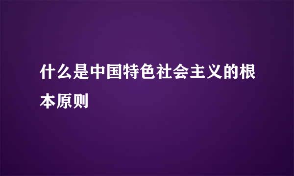 什么是中国特色社会主义的根本原则