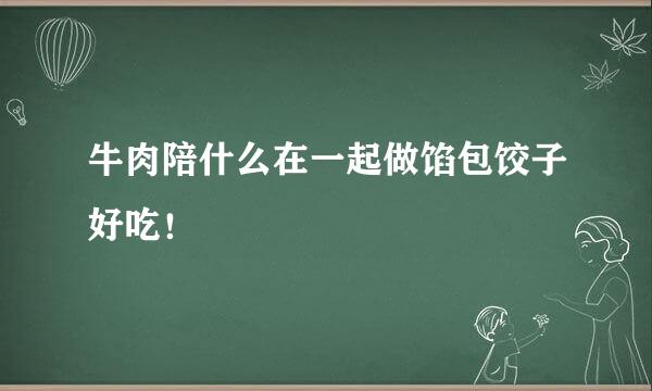 牛肉陪什么在一起做馅包饺子好吃！