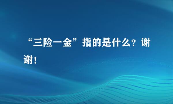 “三险一金”指的是什么？谢谢！