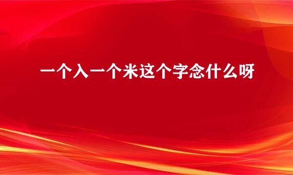 一个入一个米这个字念什么呀