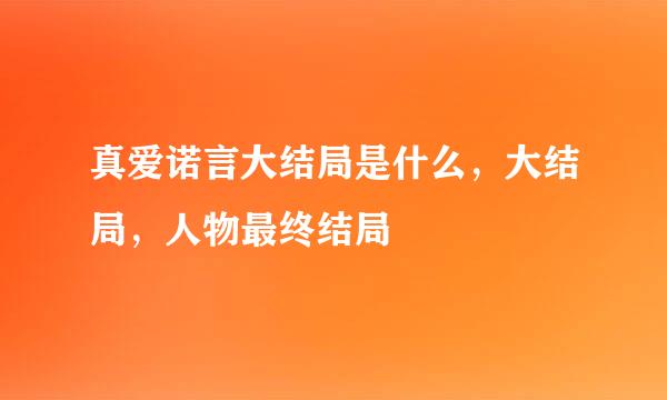 真爱诺言大结局是什么，大结局，人物最终结局