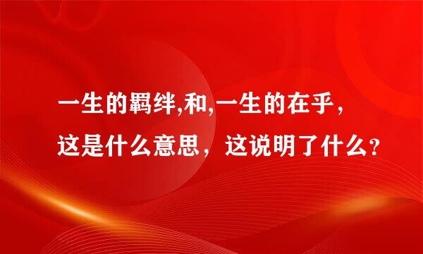 一生的羁绊,和,一生的在乎，这是什么意思，这说明了什么？