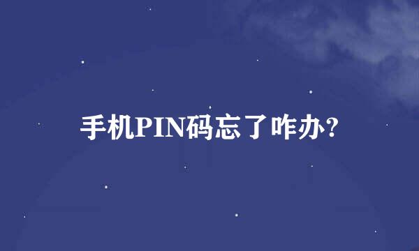 手机PIN码忘了咋办?