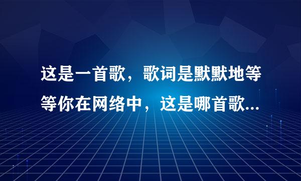 这是一首歌，歌词是默默地等等你在网络中，这是哪首歌中的歌词