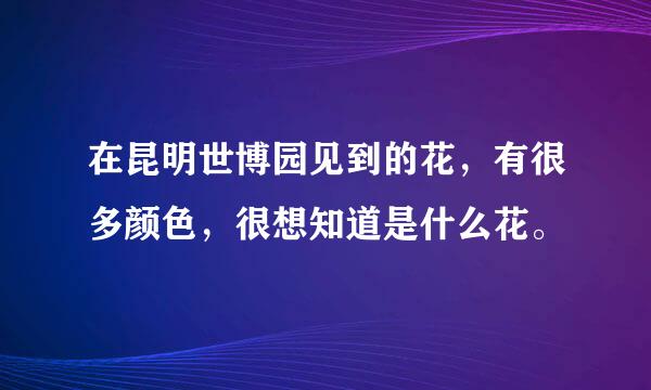 在昆明世博园见到的花，有很多颜色，很想知道是什么花。