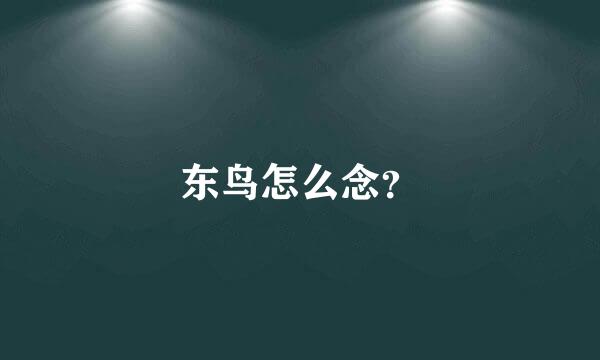 东鸟怎么念？