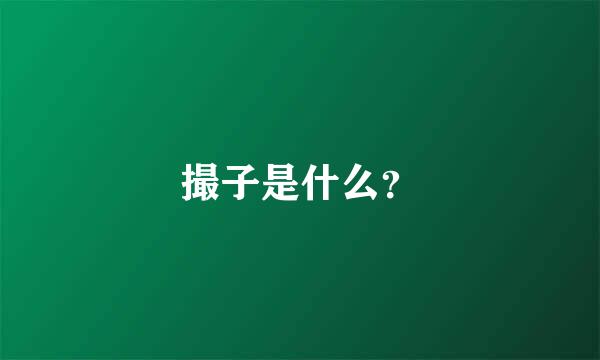 撮子是什么？