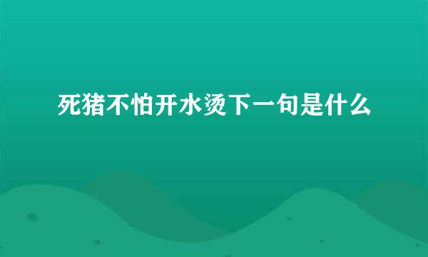 死猪不怕开水烫下一句是什么