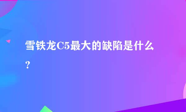 雪铁龙C5最大的缺陷是什么？