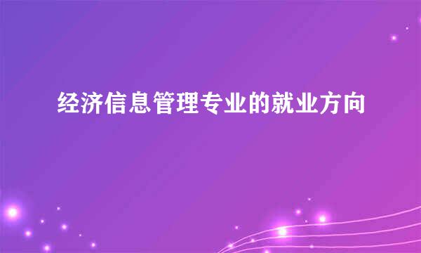 经济信息管理专业的就业方向