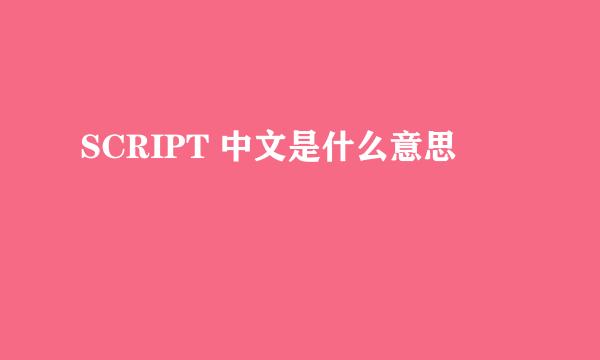 SCRIPT 中文是什么意思