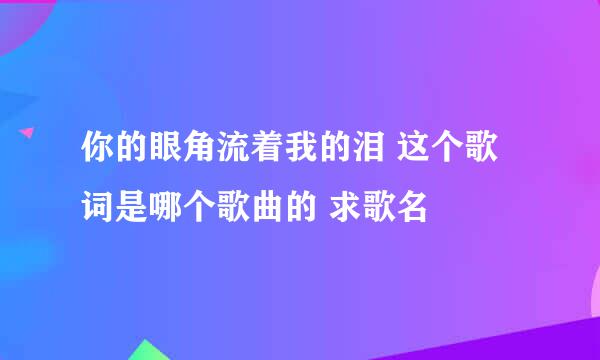 你的眼角流着我的泪 这个歌词是哪个歌曲的 求歌名