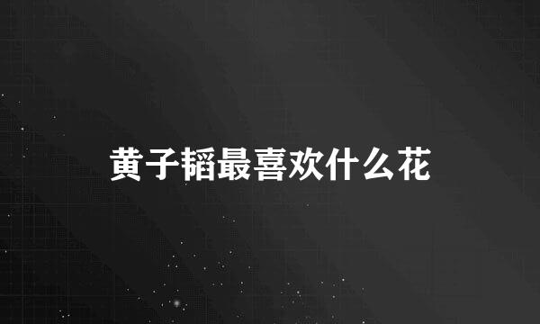 黄子韬最喜欢什么花