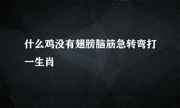 什么鸡没有翅膀脑筋急转弯打一生肖