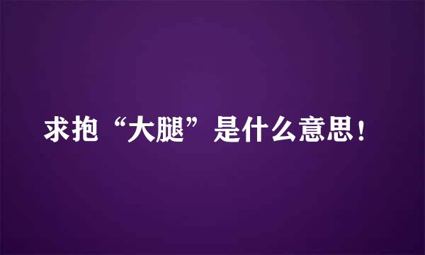 求抱“大腿”是什么意思！