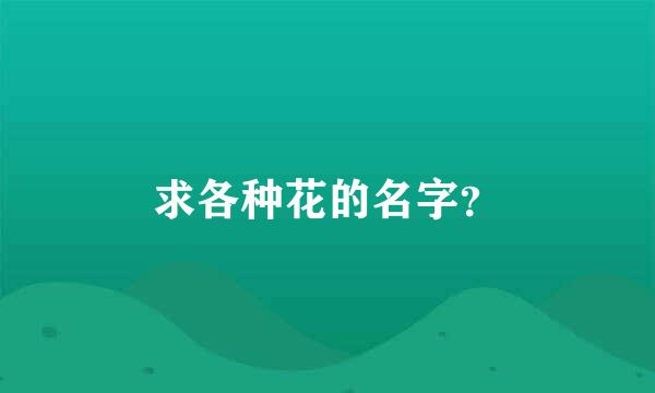 求各种花的名字？