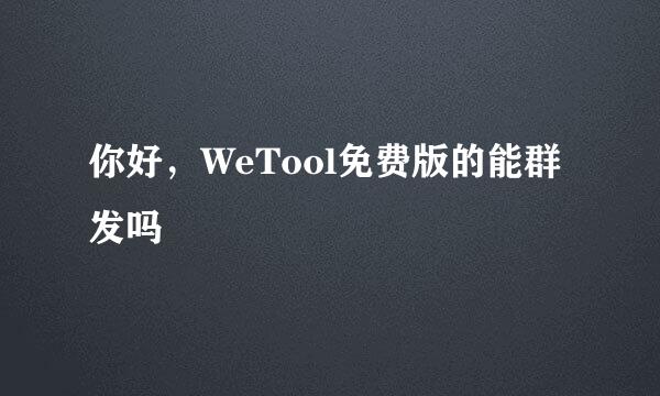 你好，WeTool免费版的能群发吗