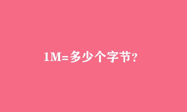 1M=多少个字节？