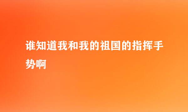 谁知道我和我的祖国的指挥手势啊