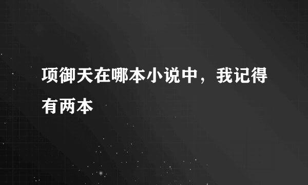 项御天在哪本小说中，我记得有两本