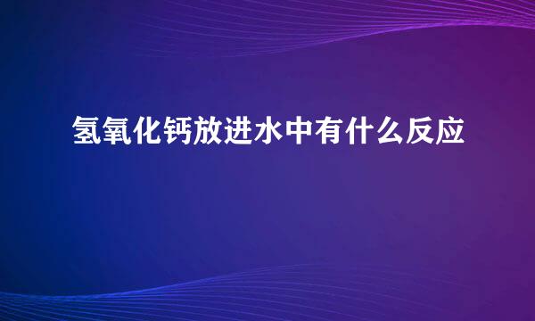 氢氧化钙放进水中有什么反应