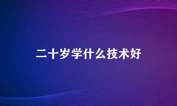 二十岁学什么技术好