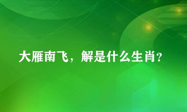 大雁南飞，解是什么生肖？