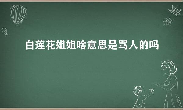 白莲花姐姐啥意思是骂人的吗