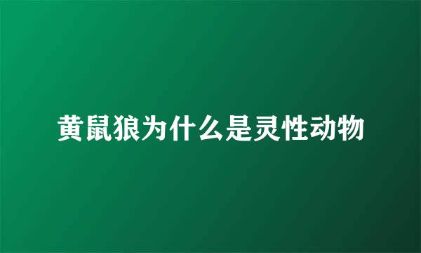 黄鼠狼为什么是灵性动物