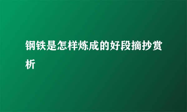 钢铁是怎样炼成的好段摘抄赏析