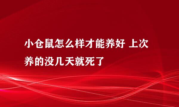 小仓鼠怎么样才能养好 上次养的没几天就死了