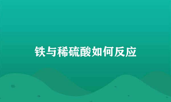 铁与稀硫酸如何反应