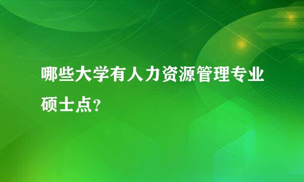 哪些大学有人力资源管理专业硕士点？